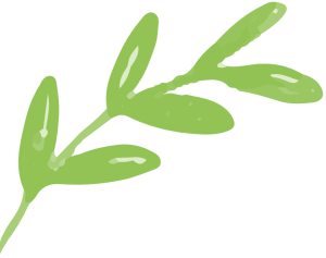 Aura Verde logo leaf2 free img 1 300x237.png